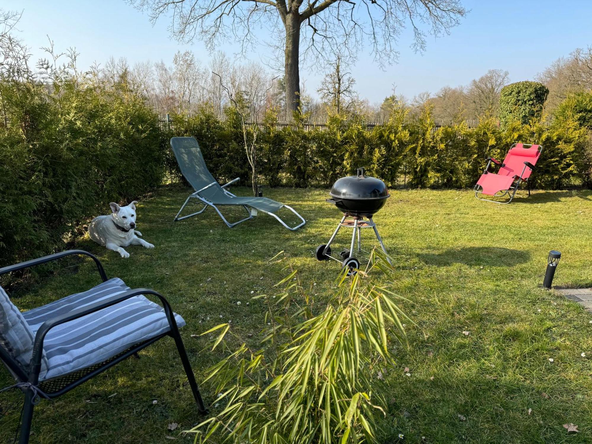 Ferienwohnung Am See Dillich - Hunde Willkommen - Eigener Eingezaeunter Garten - Ruhige Lage Borken (Hessen) Luaran gambar